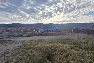 Spațiu comercial, de 512 mp, în Arcalia - 18