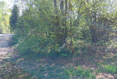 Teren intravilan 1300 mp de pe Valea Avrigului in zona Mlac - 3