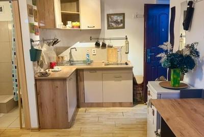Garsonieră de Închiriat în Zona Kiseleff – Exclusiv Doamne sau Domnisoare 300 E - 4