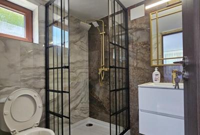 Vila Exclusivista Vetel,valea Caoiului - 9