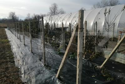 Teren 14.000 mp, zona Drambar - Ciugud - 5