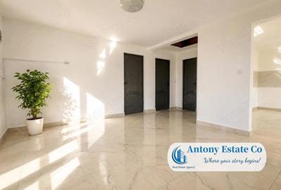 Casă cu Teren 2877 Mp în Tileagd - 10