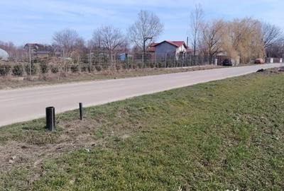 Teren de 15500 mp, în Dascălu - 2