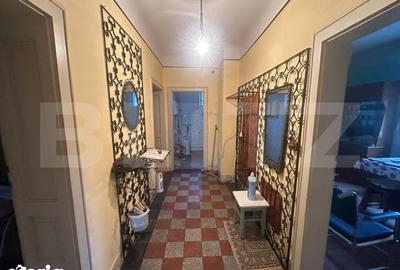 Casă cu 4 camere cu Teren 6197 Mp în Micula - 15