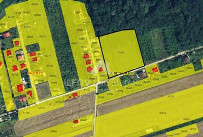 Teren intravilan Balotesti 9782mp 96ml deschidere langa padu - 6