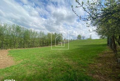 Teren de 1200 mp, în Sadu