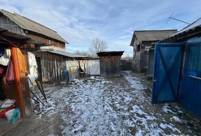 Casă cu Teren 5000 Mp în Bulzești - 3