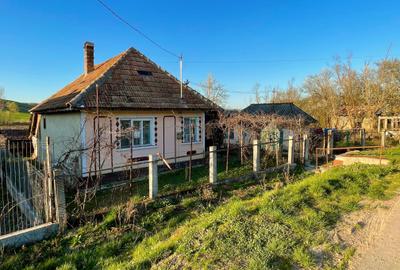 Casă cu 3 camere în Mineu - 8