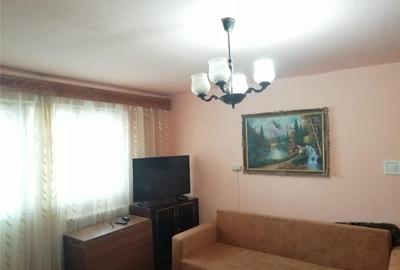 Apartament cu 2 camere nedecomandat în Cetate - 10