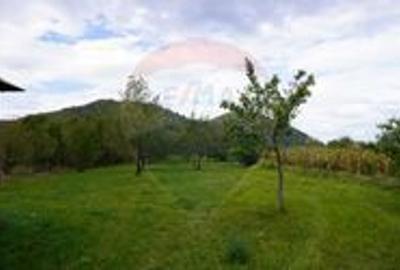 Teren 5,037mp Sighetu Marmatiei / Strada Lazu Baciului - 4