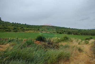 Teren extravilan 18200 mp Reghin - 2