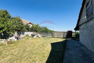 Teren Construcții intravilan de 6210 mp, în Apateu - 3