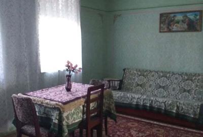 Casa cu teren 2877.mp la 27 km de Timi?oara - 7