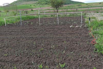 Casă cu 6 camere în Herina - 3