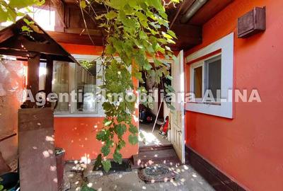 Casă cu 2 camere în Criș - 2