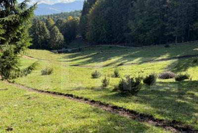 Teren intravilan 28 Ari zona Colibita - 6