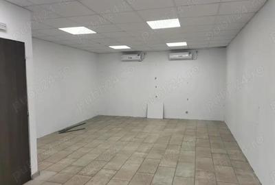 Birouri si spatii de inchiriat in THEODOR PALLADY 40 - 1