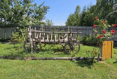 CASA VACANTA-zona pitoreasca minunata CASA VACANTA-zona pitoreasca minunata - 7