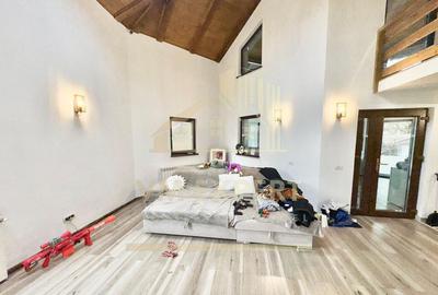 CASA 5 CAMERE 252 MP TEREN 1362 MP DRAGOSLAVELE ARGE? - 9