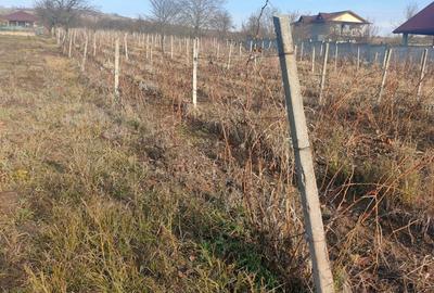 Teren în Valea Călugărească - 3