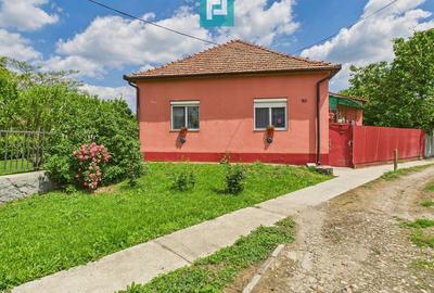 Casă cu 3 camere cu Teren 551 Mp în Turnu - 4