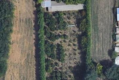 Teren de 4400 mp, în Ceacu - 3