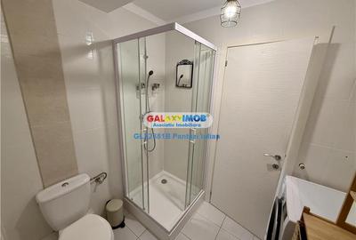 Apartament cu 3 camere semidecomandat, mobilat în Theodor Pallady - 20