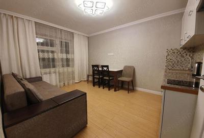 Apartament 2 camere de inchiriat in Pantelimon - 4