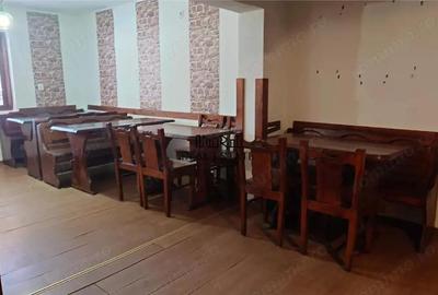 Proprietate in Apuseni - fosta pizzerie, ideala pentru afacere sau locuinta - 1