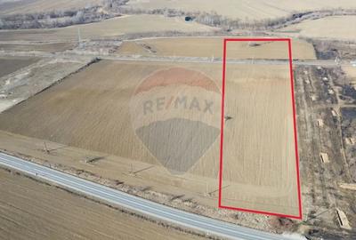 Teren de 10168 mp, în Brateiu - 2