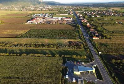 Teren INTRAVILAN 10,778mp Seini E 58 ideal/ activitati economice - 6