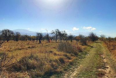 Teren investitie Ghimbav - 3