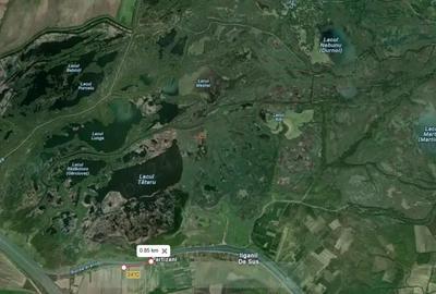 Teren de 17000 mp, în Partizani - 6