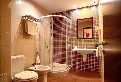 Timisoara, OPORTUNITATE INVESTITIE, hotel, clinica sau azil, 41 camere - 18