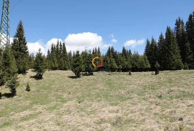 Teren de 50000 mp, în Pietroșița - 5