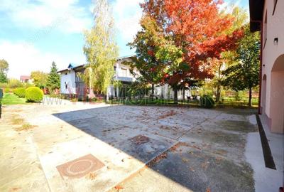 DOMENIU REZIDEN?IAL PRIVAT - Otopeni, Drumul Odaii - 4