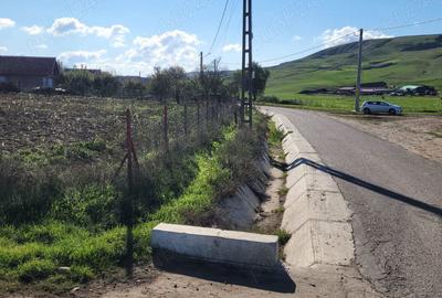 Teren de 2618 mp, în Portari