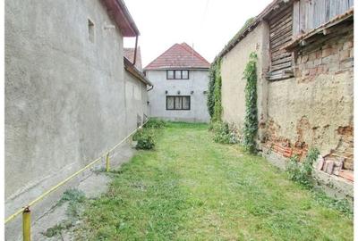 Casa deosebita cu gradina generoasa Vladeni - 3