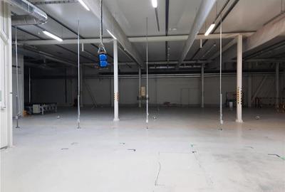 Spatiu Industrial - 5300 mp - Productie - Depozitare - Logistica - Distributie - 6