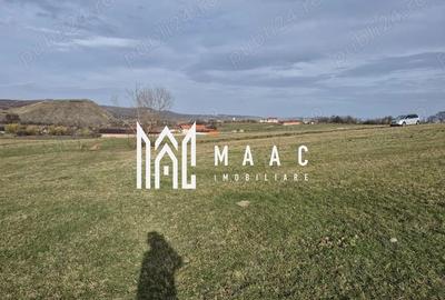 Teren extravilan | Investitie | Orlat - 3