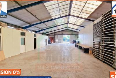 Sere: 10.640mp | Hala: 830mp | Teren 42.000mp | Lehliu-Gara - 9