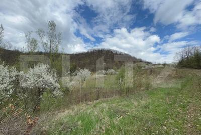 Teren de 19015 mp, în Central - 1