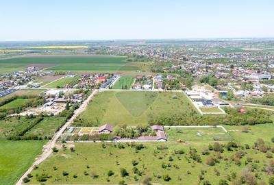 Teren agricol intravilan de 10000 mp, în Domnești - 11