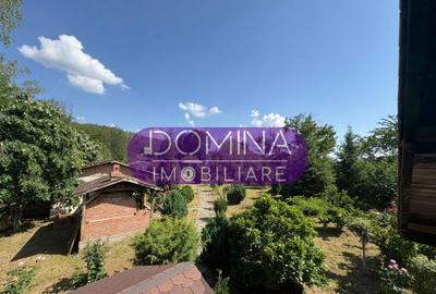 *Domeniu* cu poten?ial turistic - Bumbe?ti-Jiu - 9