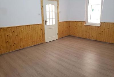 VAND casa renovata, luminoasa cu tavan inalt ,utila pentru orice destinatie,in Jimbolia. - 7