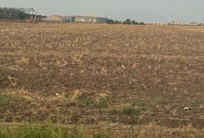 Vand teren intravilan Branesti 2500 mp, pret 70 euro/mp - 2