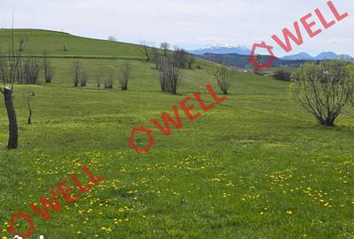 Teren de 6519 mp, în Barcani - 2