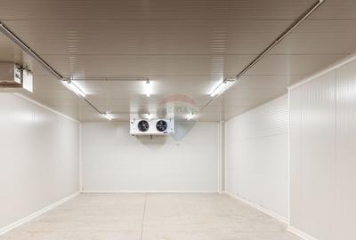 DE VANZARE una dintre cele mai moderne plantatii de afin din Romania - 10