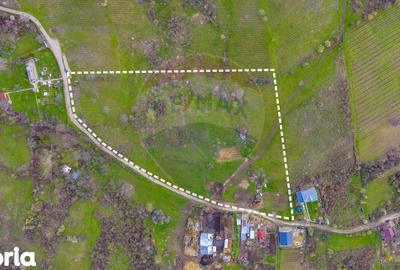 Teren de 33500 mp, în Bucov - 3