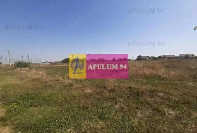 Teren de 1730 mp, în 1 Decembrie - 5